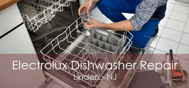 Electrolux Dishwasher Repair Linden - NJ