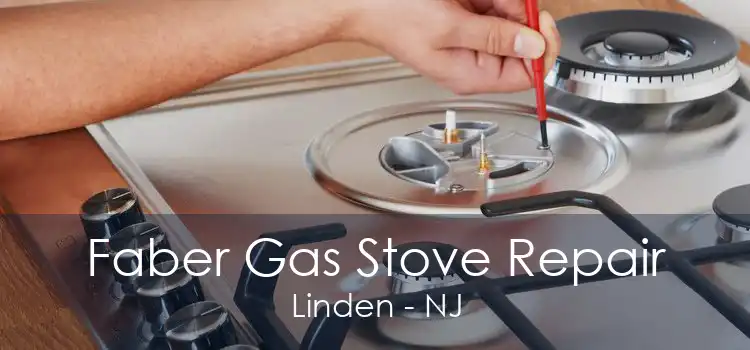 Faber Gas Stove Repair Linden - NJ