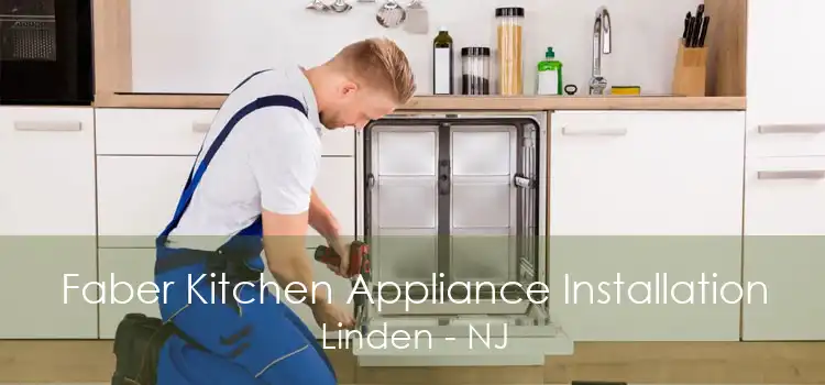 Faber Kitchen Appliance Installation Linden - NJ