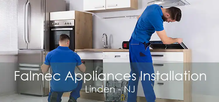 Falmec Appliances Installation Linden - NJ