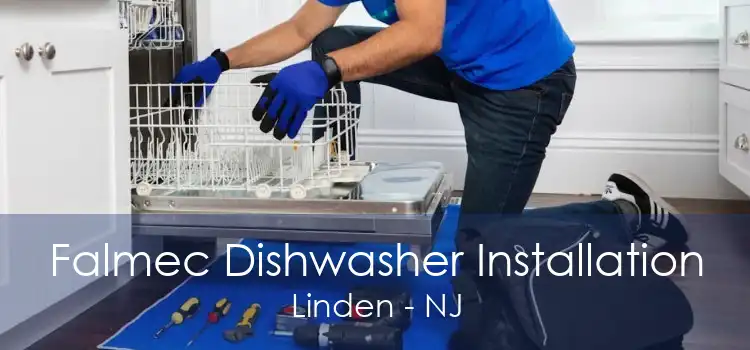 Falmec Dishwasher Installation Linden - NJ