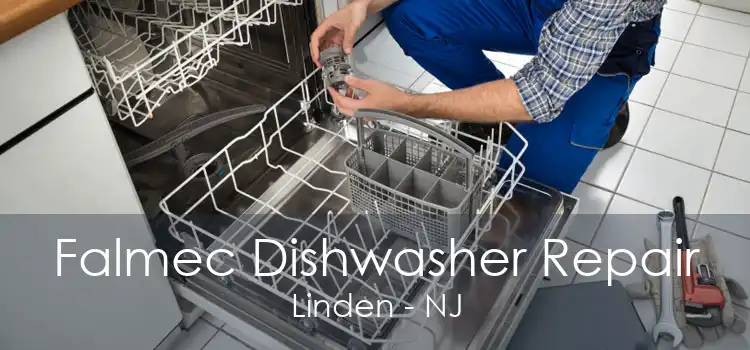 Falmec Dishwasher Repair Linden - NJ