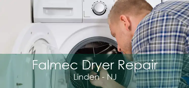 Falmec Dryer Repair Linden - NJ