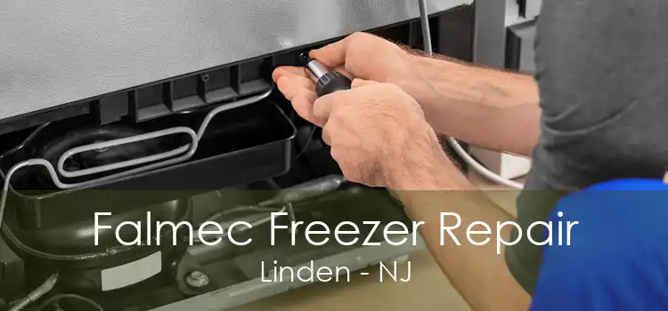 Falmec Freezer Repair Linden - NJ