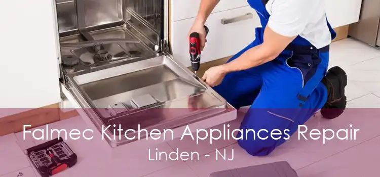 Falmec Kitchen Appliances Repair Linden - NJ