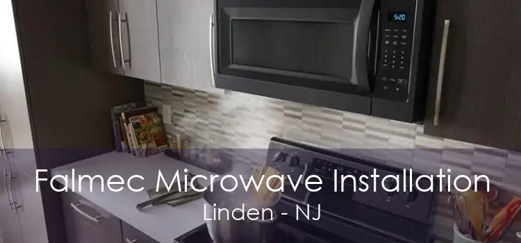 Falmec Microwave Installation Linden - NJ