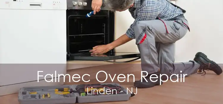 Falmec Oven Repair Linden - NJ