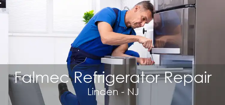 Falmec Refrigerator Repair Linden - NJ