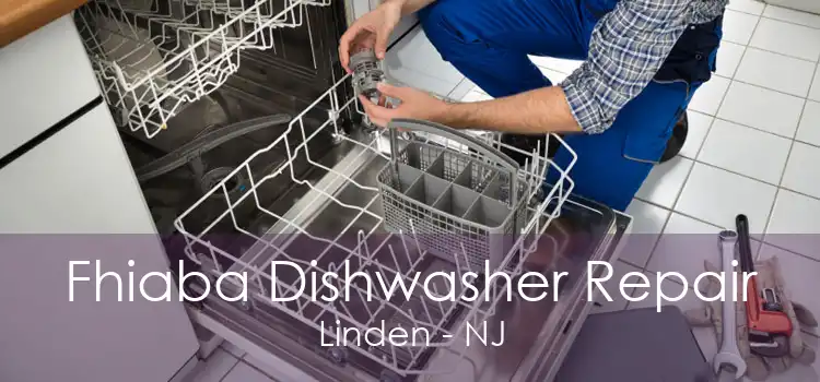 Fhiaba Dishwasher Repair Linden - NJ