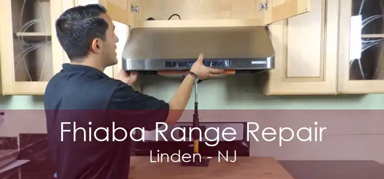 Fhiaba Range Repair Linden - NJ