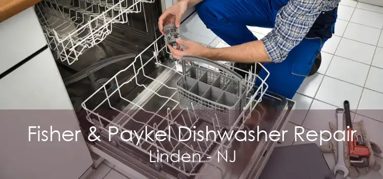 Fisher & Paykel Dishwasher Repair Linden - NJ