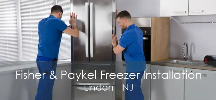 Fisher & Paykel Freezer Installation Linden - NJ
