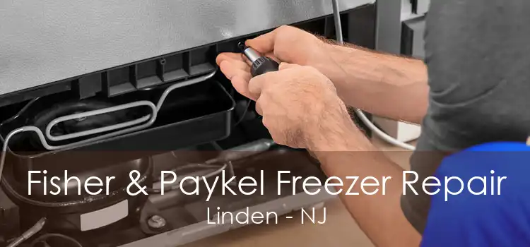 Fisher & Paykel Freezer Repair Linden - NJ