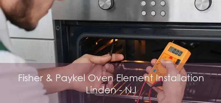 Fisher & Paykel Oven Element Installation Linden - NJ