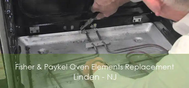 Fisher & Paykel Oven Elements Replacement Linden - NJ