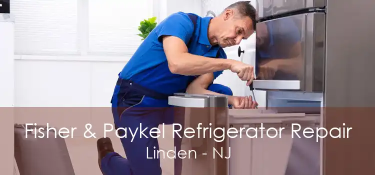 Fisher & Paykel Refrigerator Repair Linden - NJ