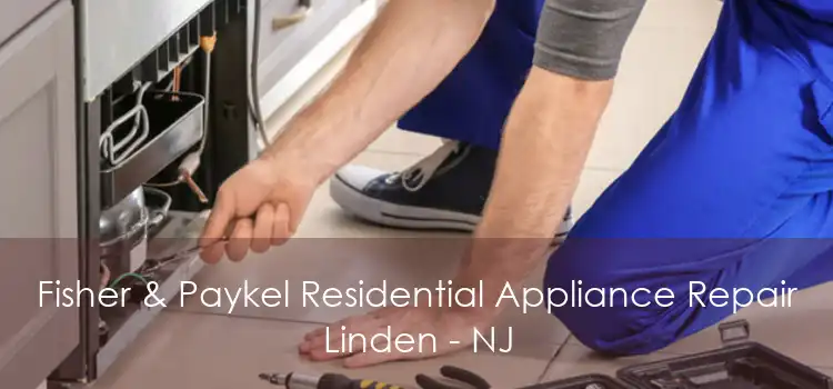 Fisher & Paykel Residential Appliance Repair Linden - NJ