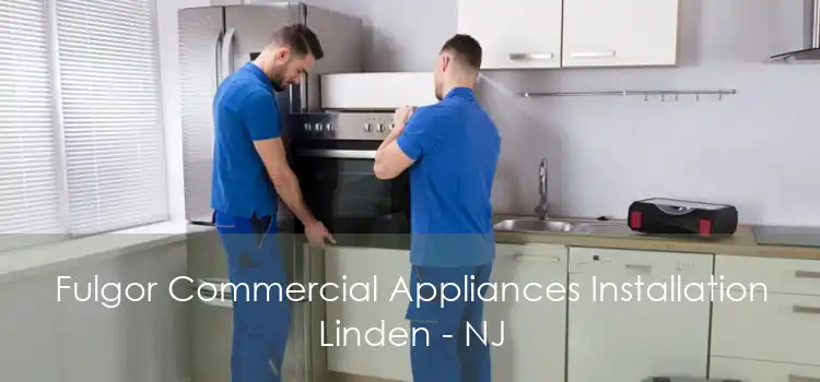 Fulgor Commercial Appliances Installation Linden - NJ