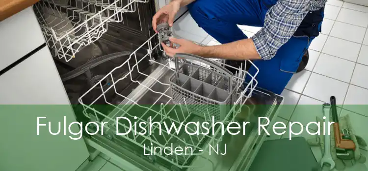 Fulgor Dishwasher Repair Linden - NJ