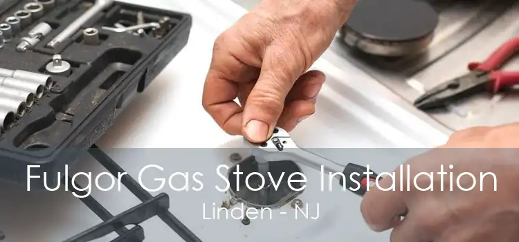Fulgor Gas Stove Installation Linden - NJ