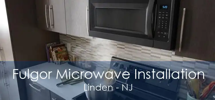 Fulgor Microwave Installation Linden - NJ