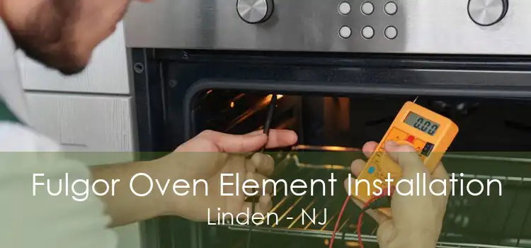 Fulgor Oven Element Installation Linden - NJ