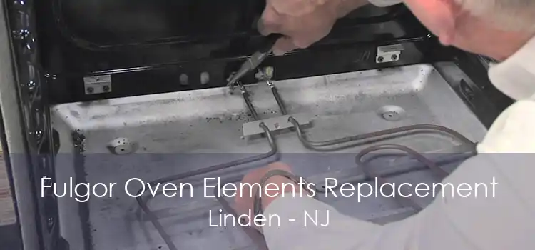 Fulgor Oven Elements Replacement Linden - NJ