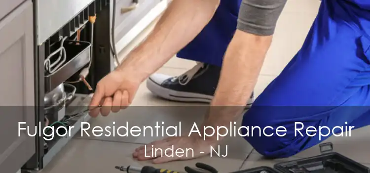Fulgor Residential Appliance Repair Linden - NJ