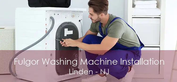 Fulgor Washing Machine Installation Linden - NJ