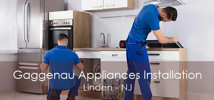 Gaggenau Appliances Installation Linden - NJ