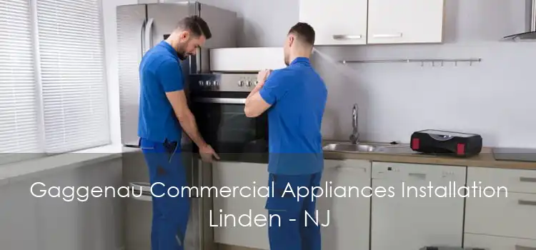 Gaggenau Commercial Appliances Installation Linden - NJ