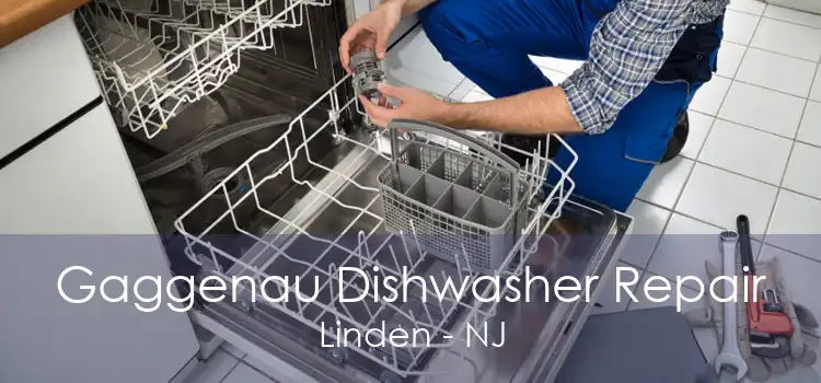 Gaggenau Dishwasher Repair Linden - NJ