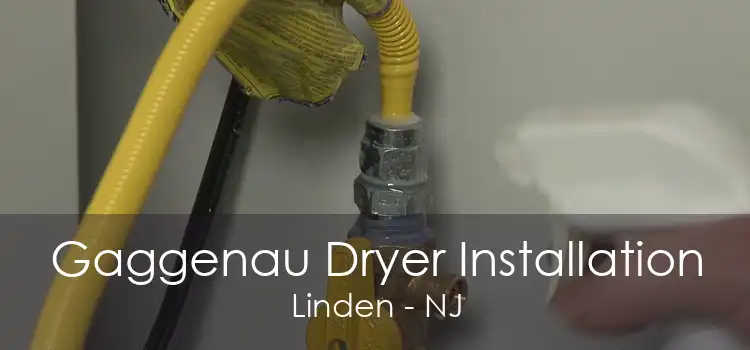 Gaggenau Dryer Installation Linden - NJ