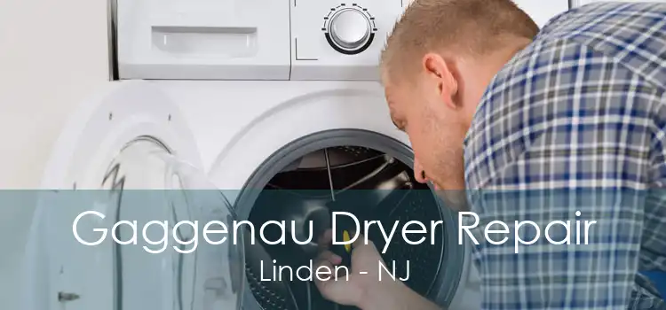 Gaggenau Dryer Repair Linden - NJ