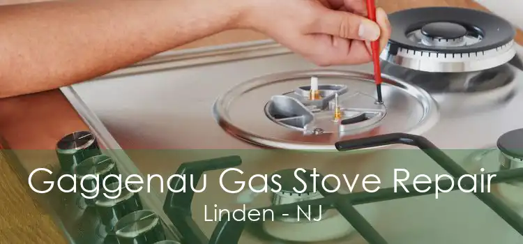 Gaggenau Gas Stove Repair Linden - NJ