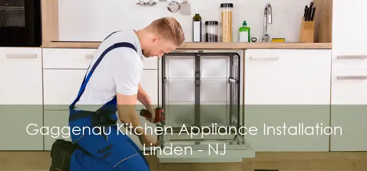 Gaggenau Kitchen Appliance Installation Linden - NJ