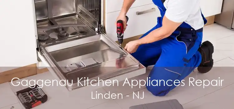 Gaggenau Kitchen Appliances Repair Linden - NJ