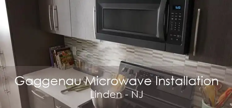 Gaggenau Microwave Installation Linden - NJ
