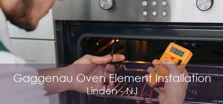 Gaggenau Oven Element Installation Linden - NJ