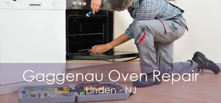 Gaggenau Oven Repair Linden - NJ