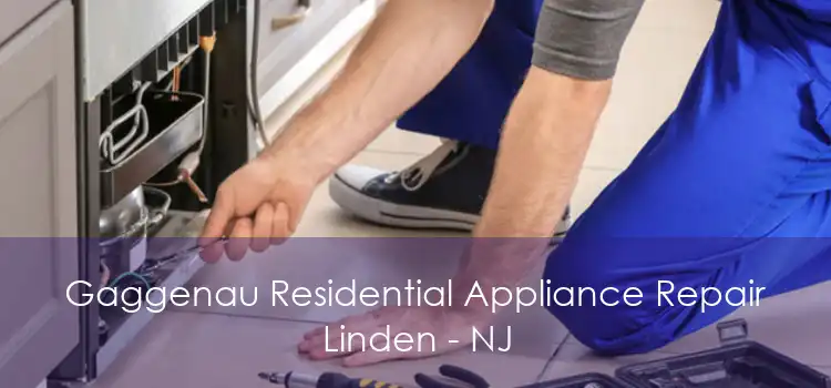 Gaggenau Residential Appliance Repair Linden - NJ