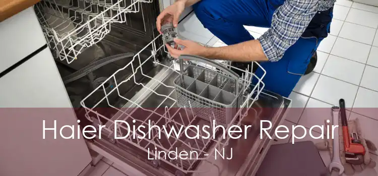 Haier Dishwasher Repair Linden - NJ
