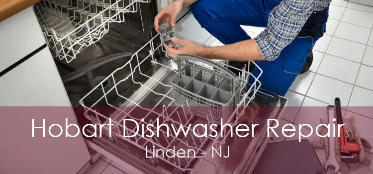 Hobart Dishwasher Repair Linden - NJ