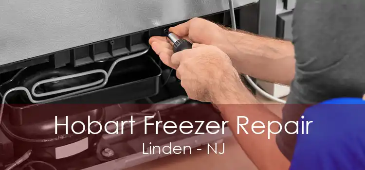 Hobart Freezer Repair Linden - NJ