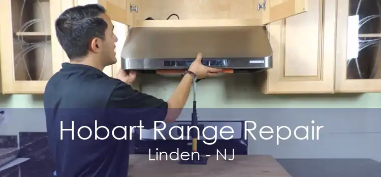 Hobart Range Repair Linden - NJ