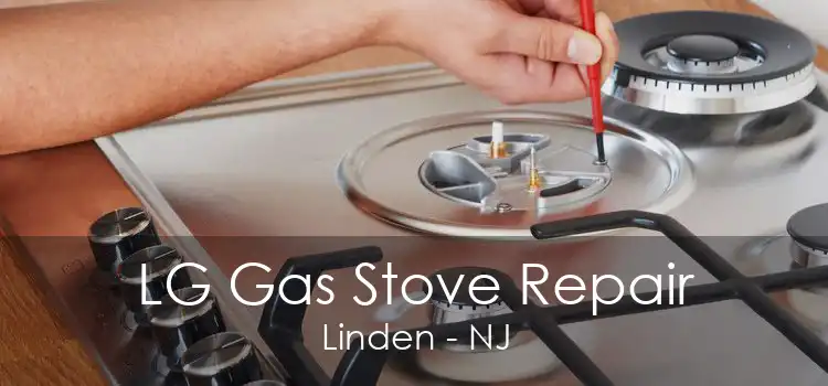 LG Gas Stove Repair Linden - NJ