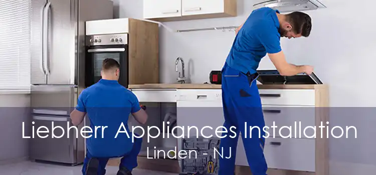 Liebherr Appliances Installation Linden - NJ