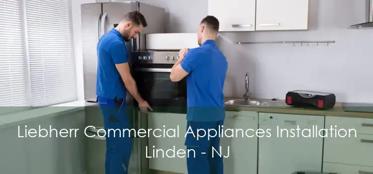 Liebherr Commercial Appliances Installation Linden - NJ