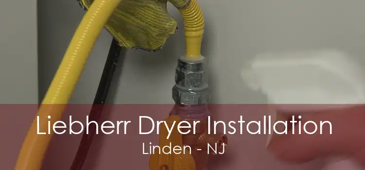 Liebherr Dryer Installation Linden - NJ