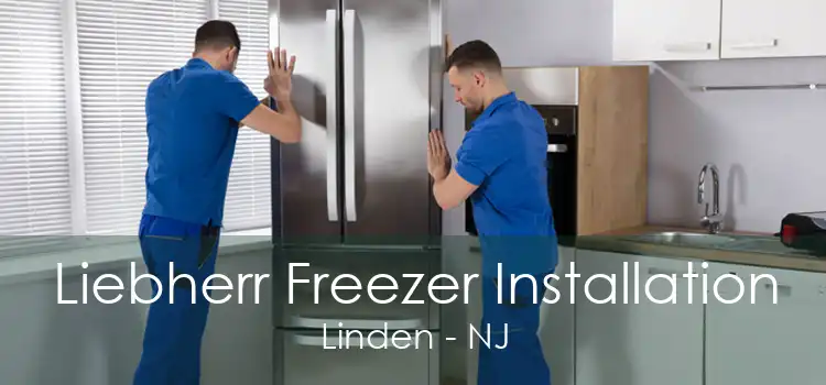 Liebherr Freezer Installation Linden - NJ